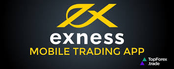 Comprehensive Guide to Exness Forex Broker Comprehensive Guide to Exness Forex Broker